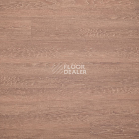 Ecoclick Wood  замковый 4.2мм NOX-1614 Дуб Арагон фото 4 | FLOORDEALER